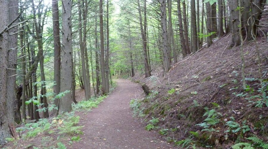 Provincial park season ends Monday