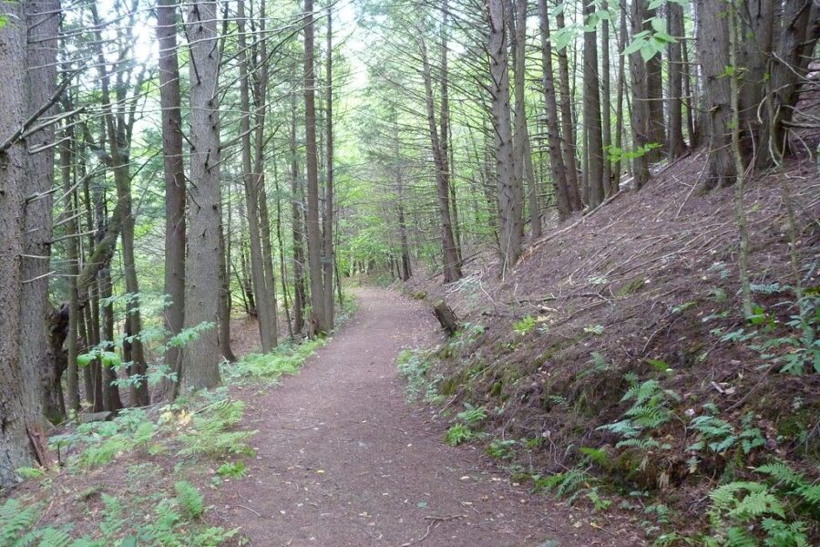 Provincial park season ends Monday