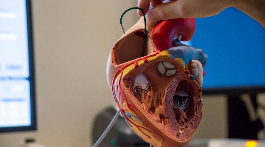 Cardiac Catheterization Lab for Cape Breton Island