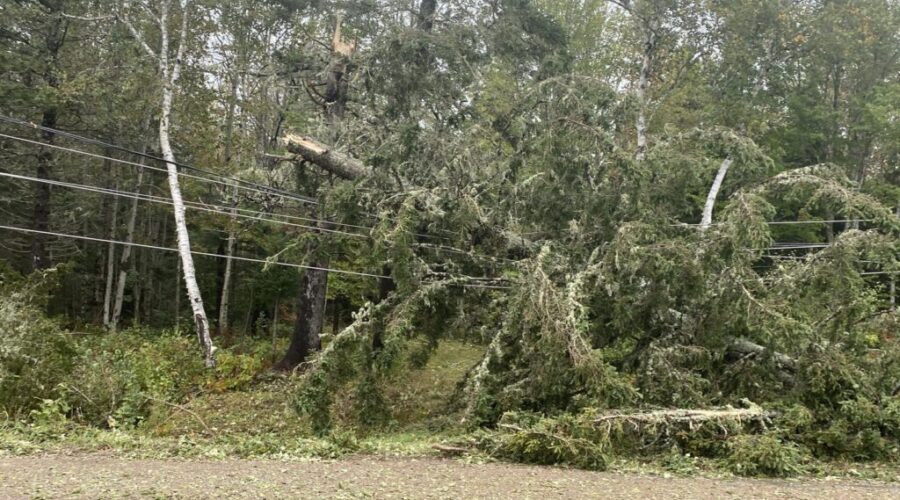 IBC Answers Your Fiona Insurance Claim Questions