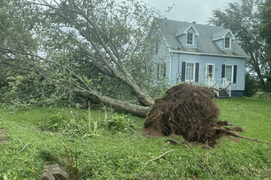 Province announces more help for Hurricane Fiona recovery