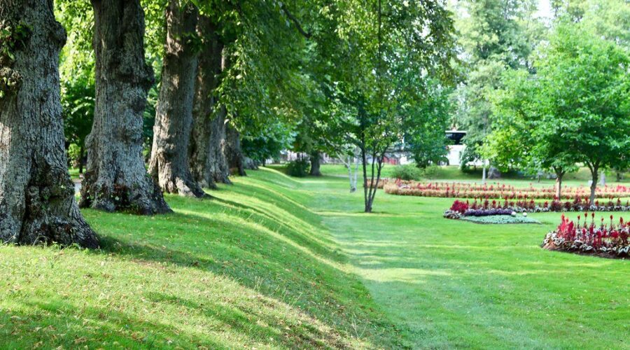 Still no arrests in vandalism at Halifax Public Gardens