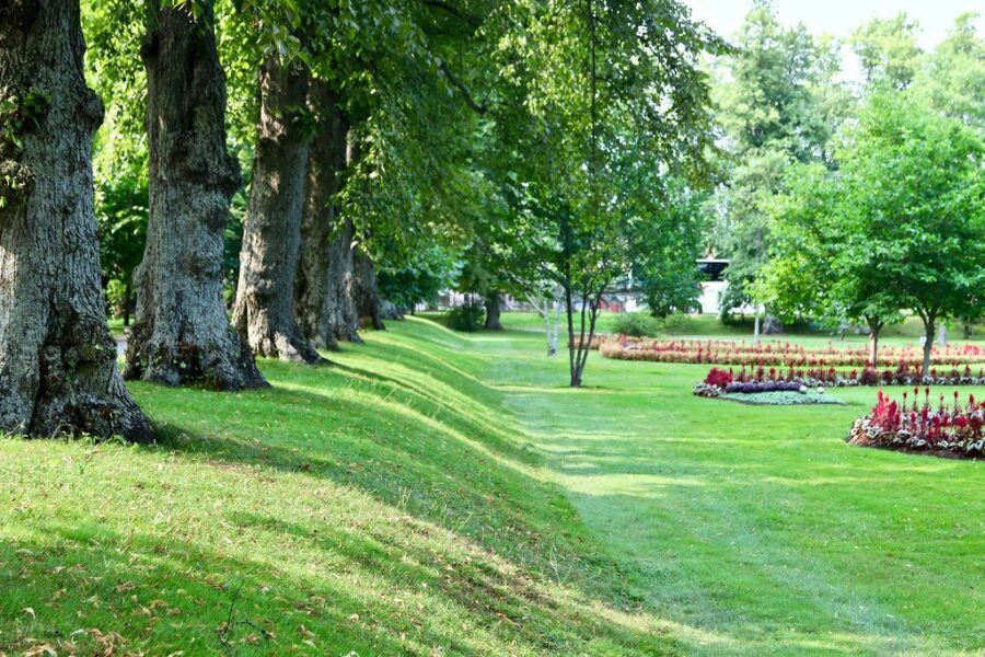 Still no arrests in vandalism at Halifax Public Gardens