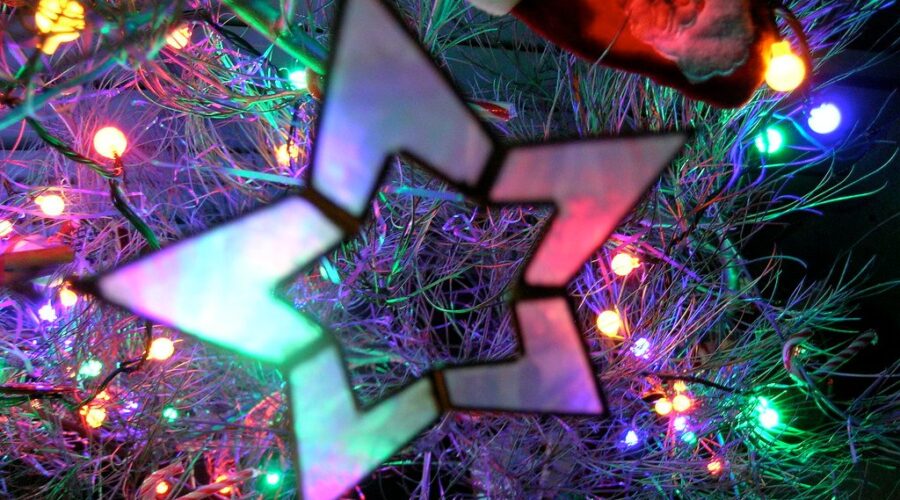 Feed Nova Scotia Benefit Concerts