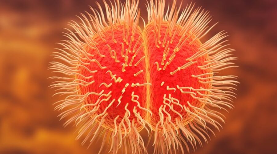 SMU student passes away due to suspected meningitis case