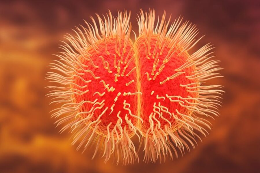 SMU student passes away due to suspected meningitis case