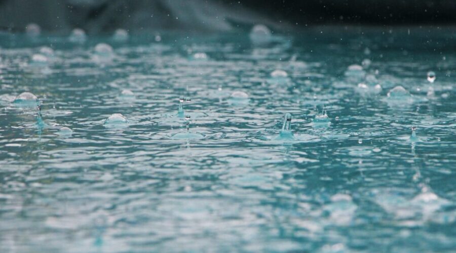 New Report Paints Grim Picture for Climate Change in NS, If No Action