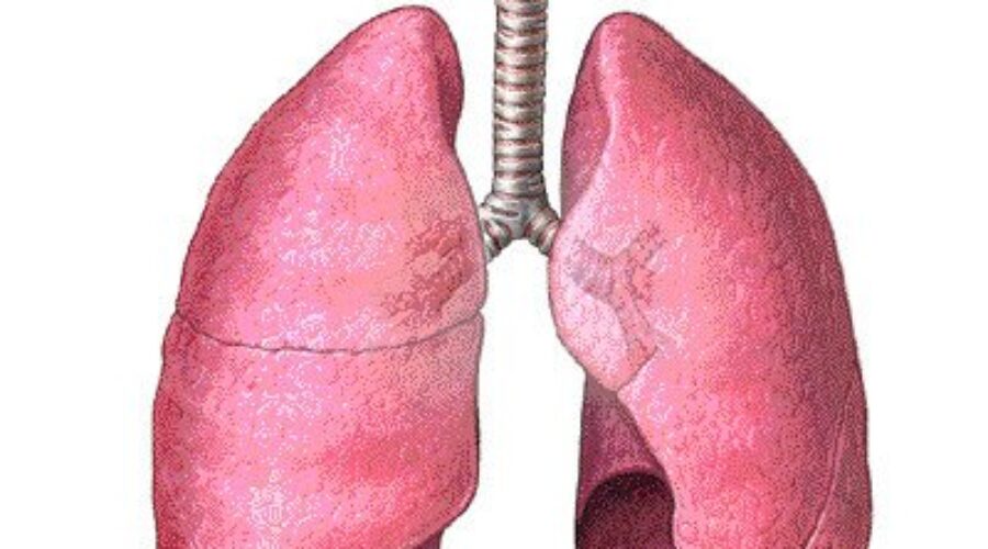 2nd Annual Stair Heros Challenge for Lung Health