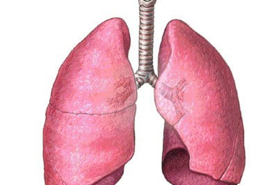 2nd Annual Stair Heros Challenge for Lung Health