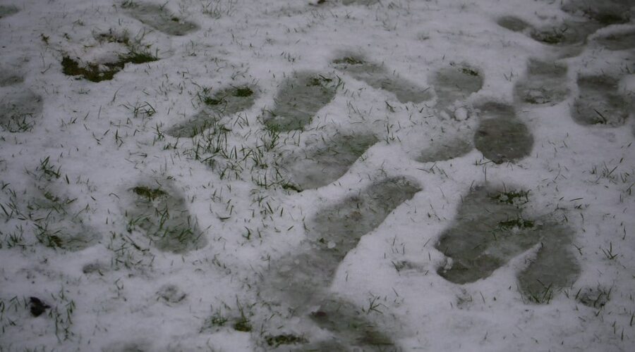 Snow, freezing rain prompts weather advisories