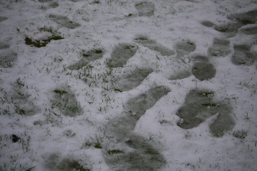 Snow, freezing rain prompts weather advisories