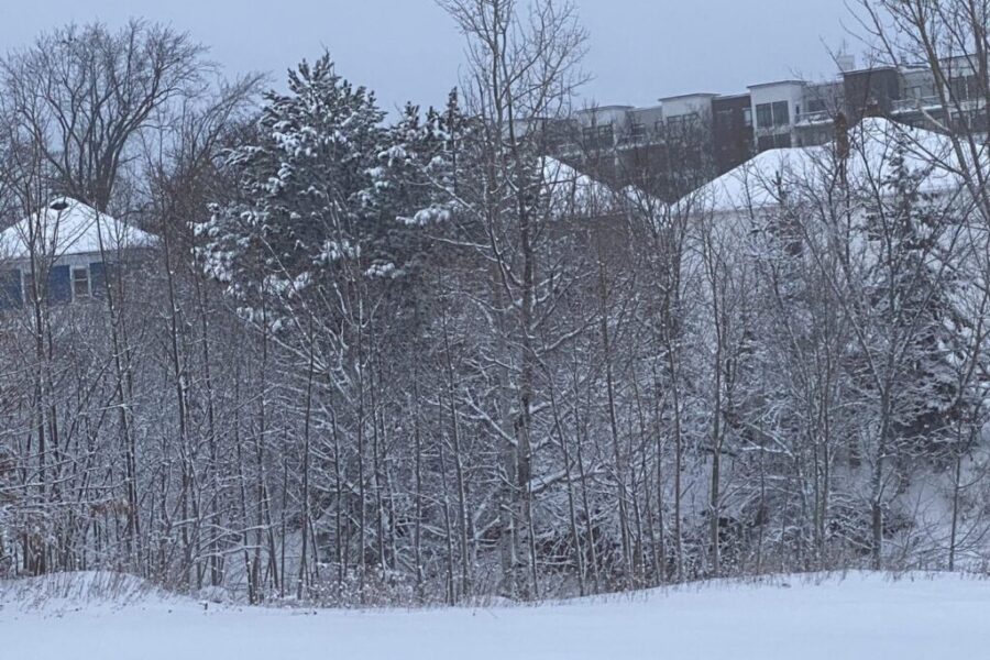 Snowfall Warning Issued For All of Nova Scotia