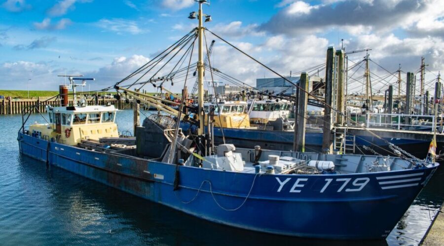 $40M To Help Shellfish Operations Impacted By Fiona