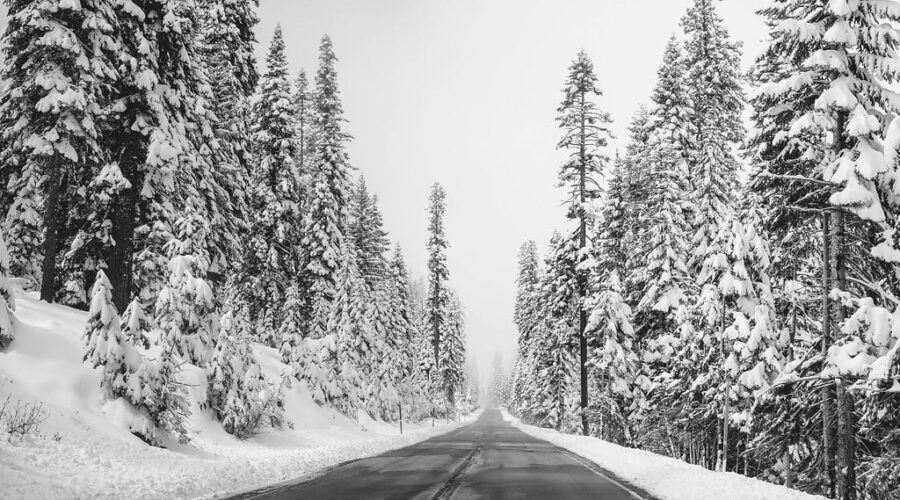 Snowfall warning for parts of N.S., winter clean-up for V-Day