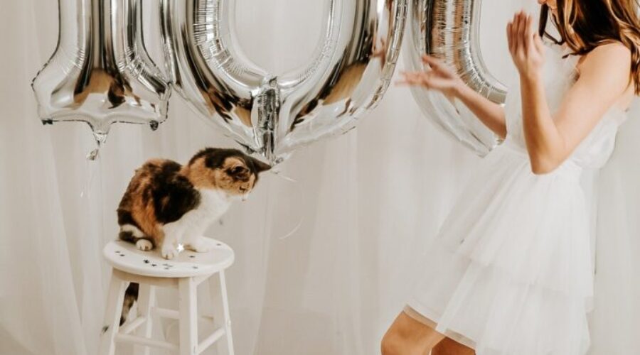 My Grandfather’s Cat Celebrates 100th Adoption