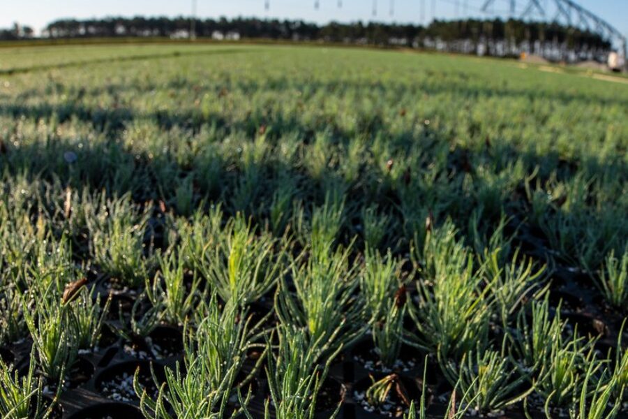 NS Offers Funding For Farmers Impacted By Hurricane Fiona