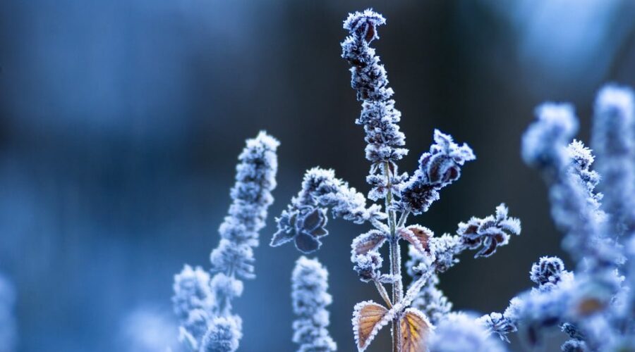 Extreme Cold, Snow Squalls In Store For N.S. Today