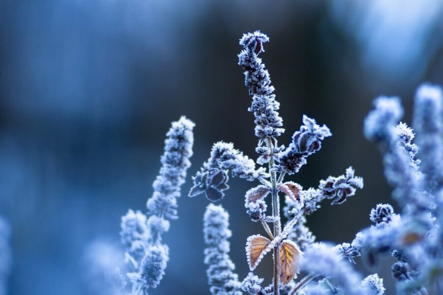 Extreme Cold, Snow Squalls In Store For N.S. Today