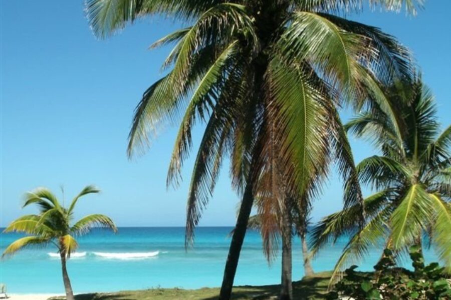 Be mindful of travel-related illnesses