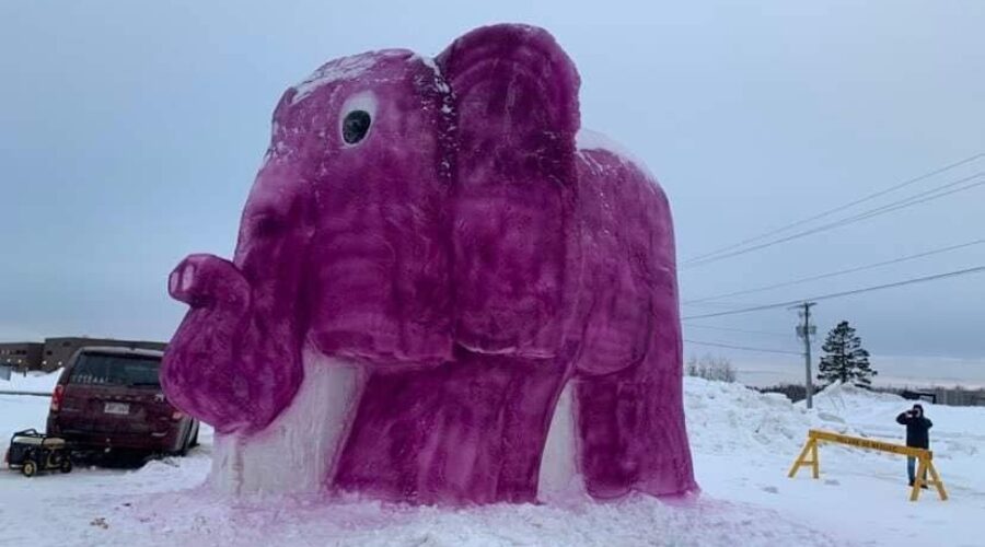 Elephant Snow Sculpture Turning Heads in Neguac, NB