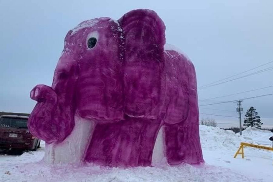 Elephant Snow Sculpture Turning Heads in Neguac, NB