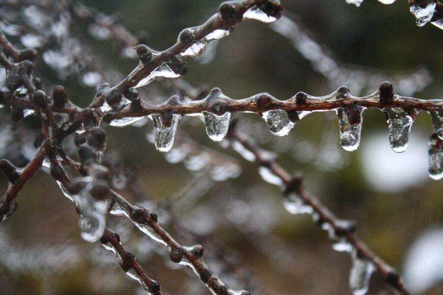 Update: Freezing Rain For Friday
