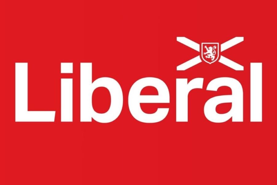 Liberals say new mental health program a ‘band-aid’ fix