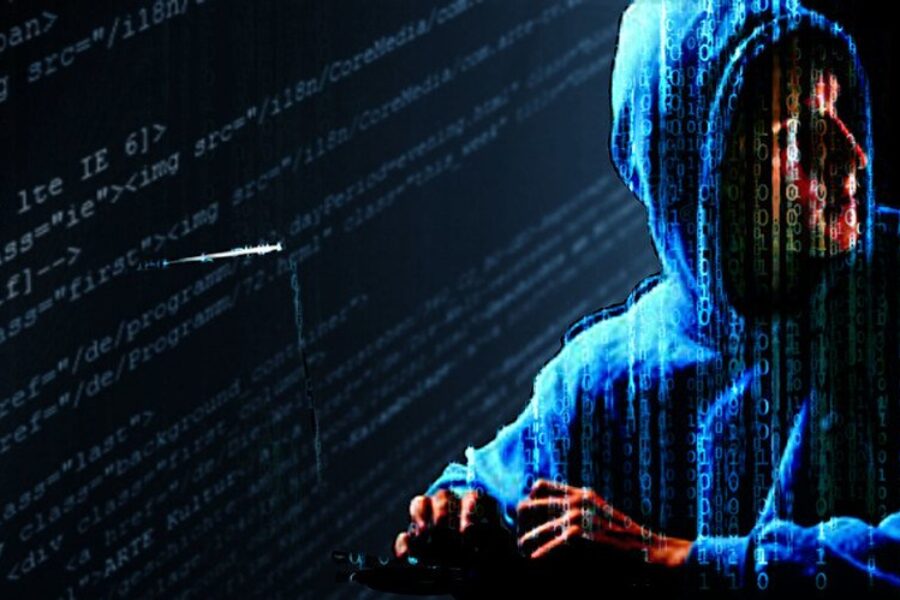 Nova Scotia reports record fraud losses in 2022 at $3.2 million