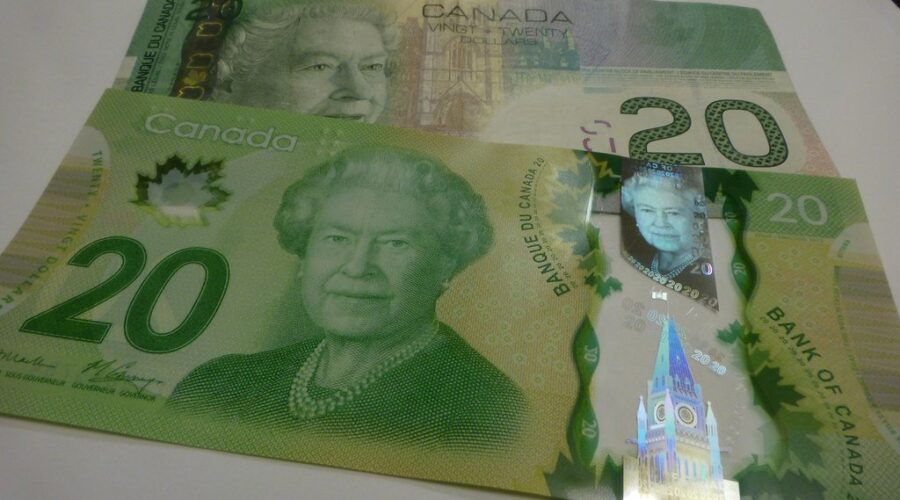 New campaign to put Indigenous woman on Canadian $20 bill