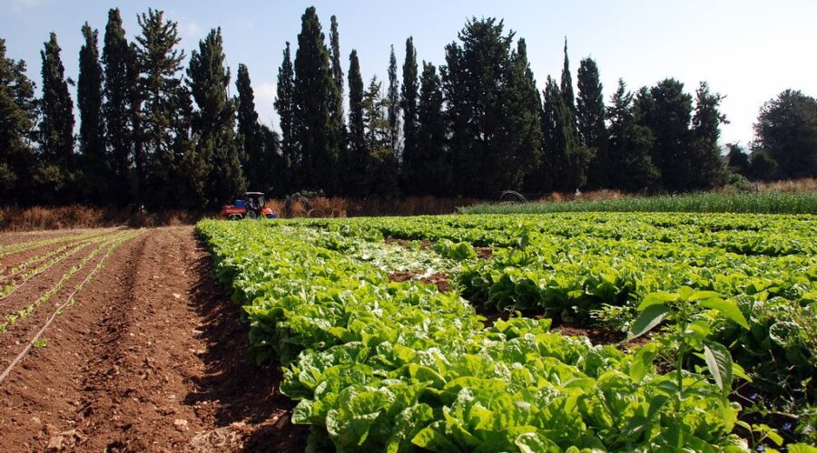 Agriculture literacy month connects students with their food