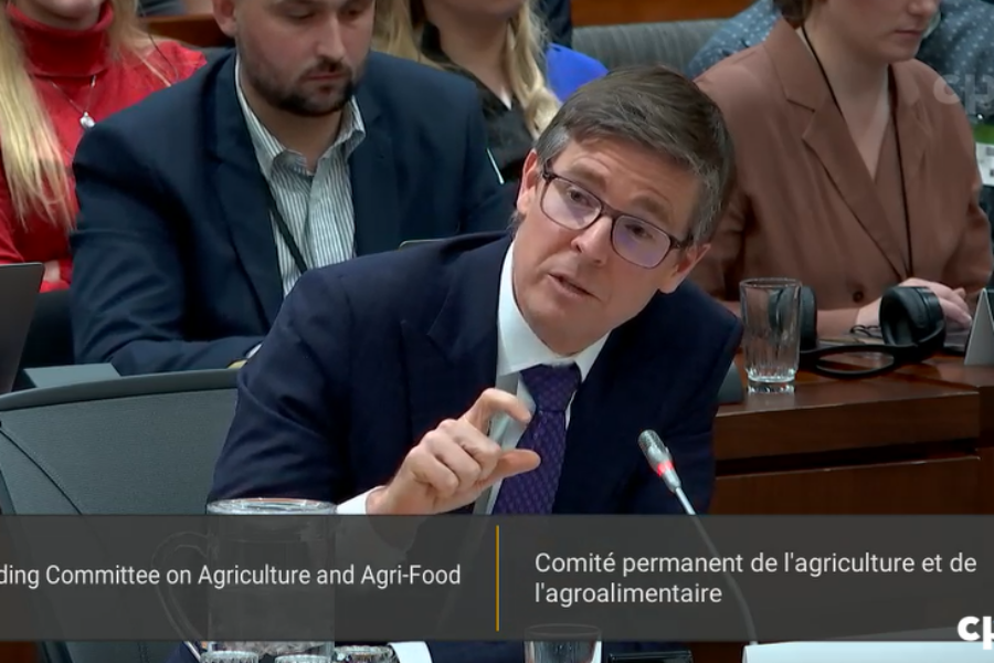 ‘We are not profiting from inflation’ grocery execs tell committee