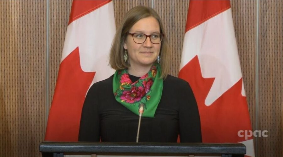 Minister declares passport backlog ‘eliminated’