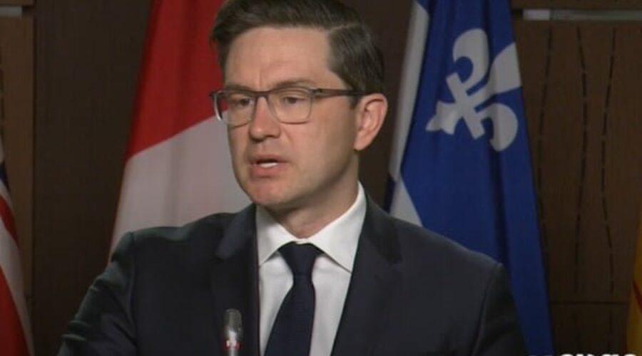 Poilievre seeks public inquiry into election meddling