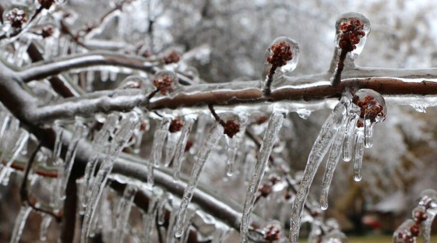 Freezing rain forecast for parts of N.S.