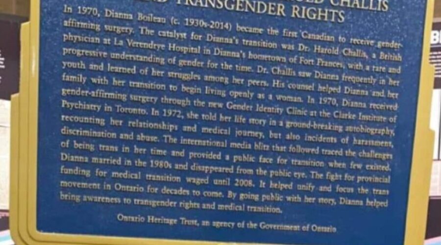 Honouring transgender people on Int’l Transgender Day of Visibility