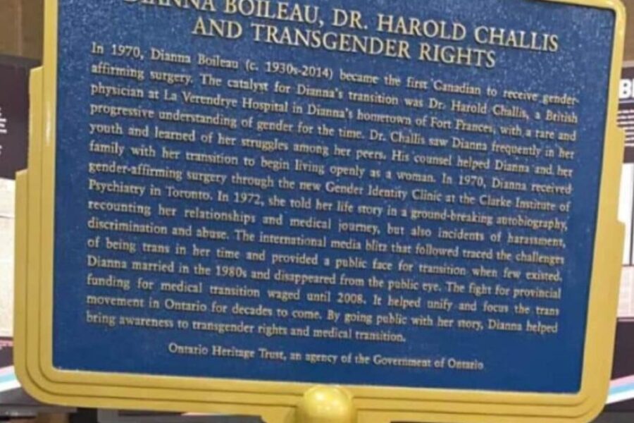 Honouring transgender people on Int’l Transgender Day of Visibility