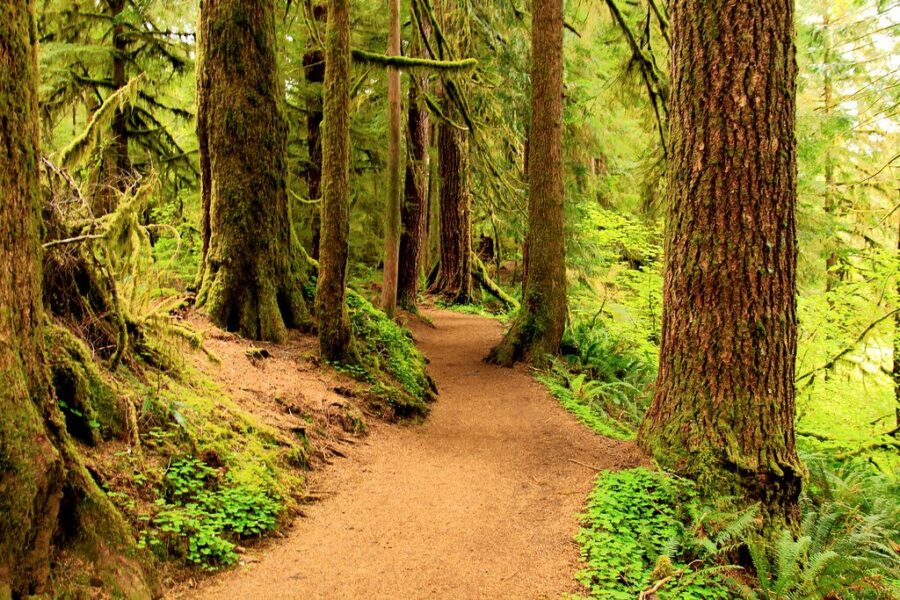 Trail groups across Nova Scotia asking for help to fix them up