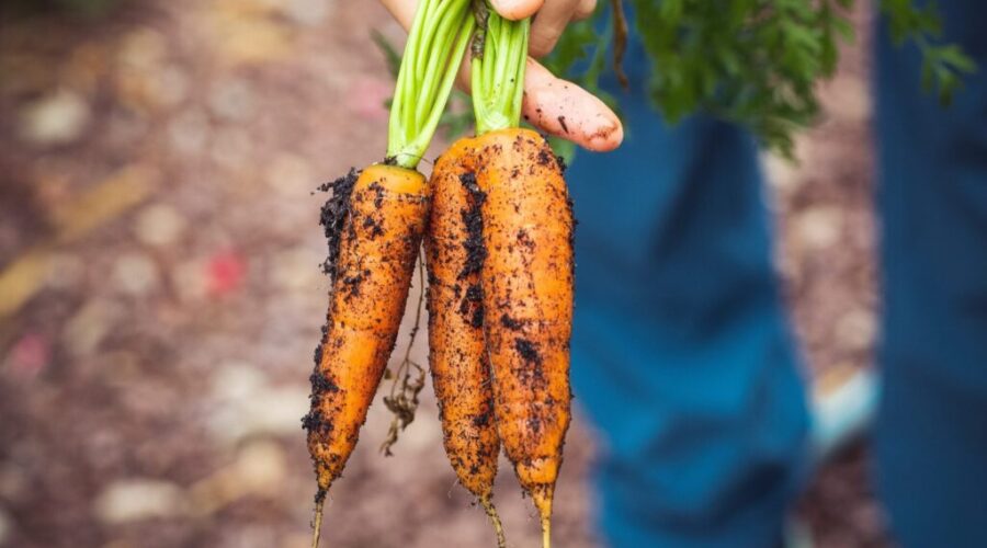 NSCC set to hold Food Forum