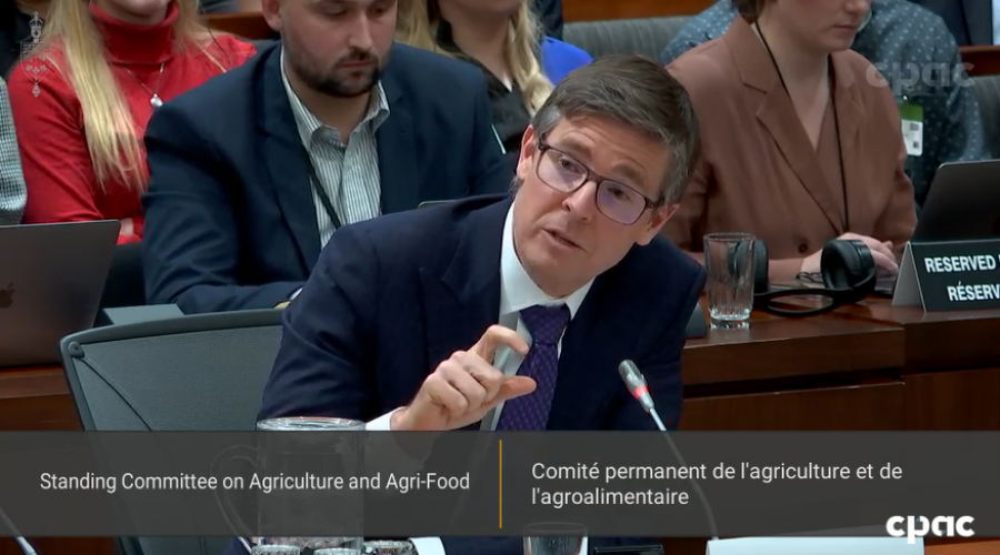 Weston steps down as Loblaws president, CEO