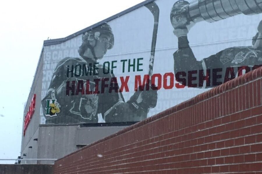 Mooseheads and Wildcats split first 2 games