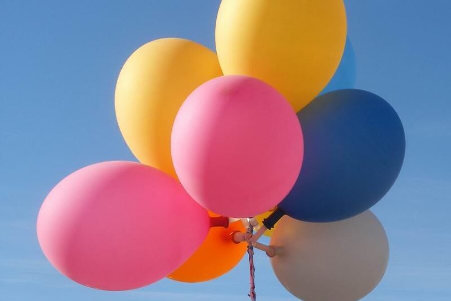 Worlds oldest dog ever turns 31