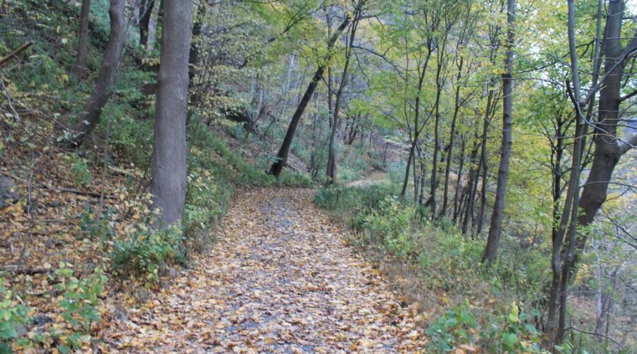 Town approves “good news budget” in Antigonish, no tax hikes