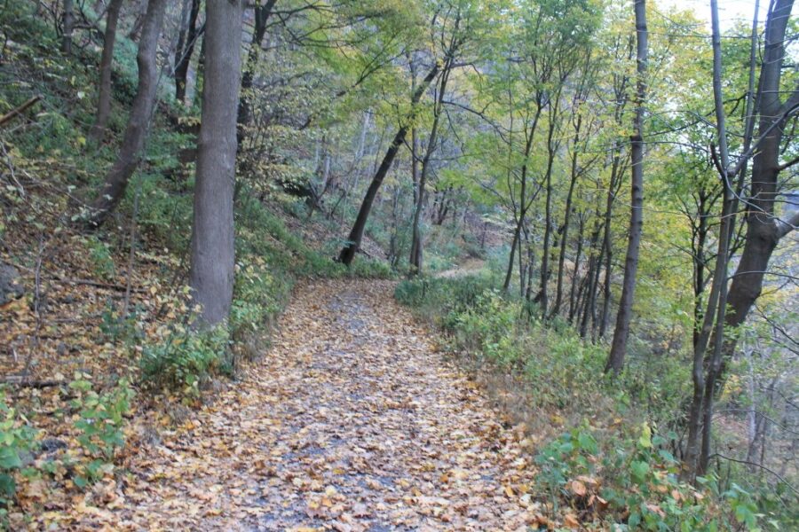 Town approves “good news budget” in Antigonish, no tax hikes