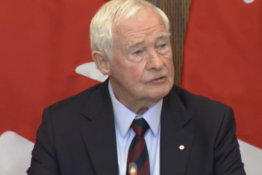 Report released on foreign interference in federal elections