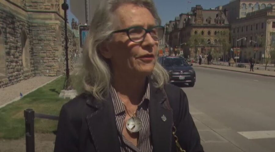 Fisheries Minister downplays elver enforcement criticicm