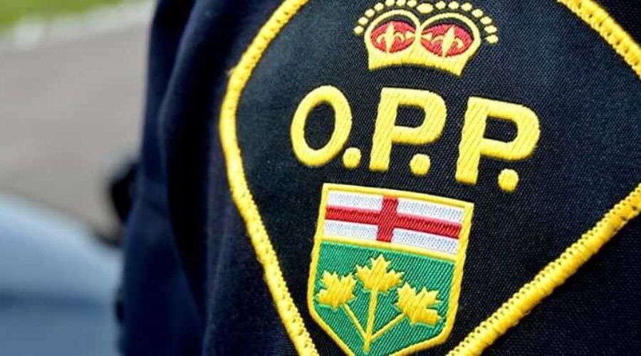 OPP officer killed, 2 injured in Ottawa-area shooting