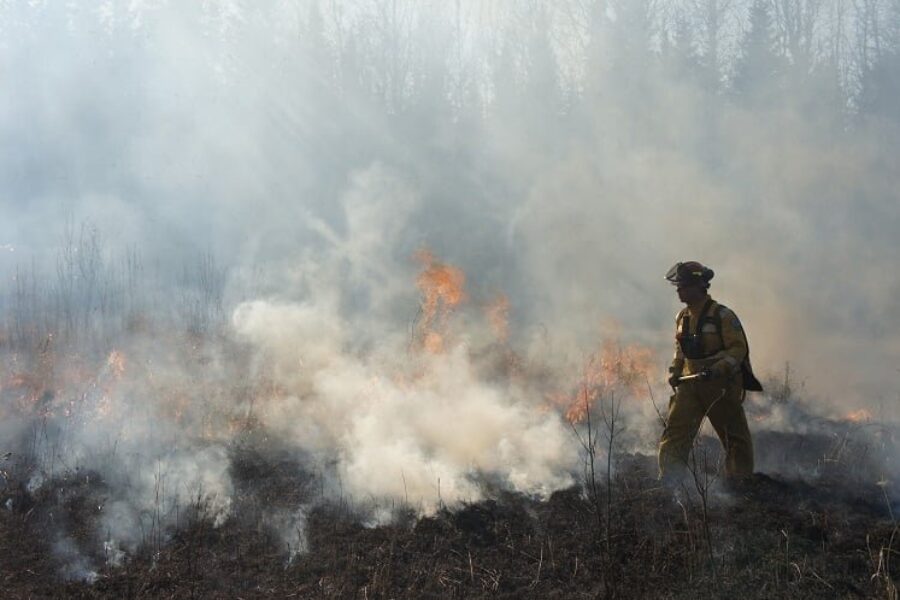 Insurance information available for those affected by wildfires