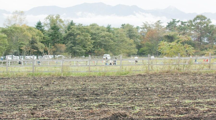 $2,500 financial aid for famers in mandatory evacuation zones