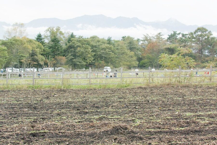 $2,500 financial aid for famers in mandatory evacuation zones