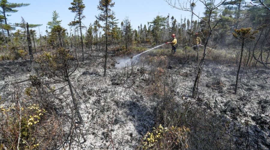 Evacuation orders lifted for Shelburne County